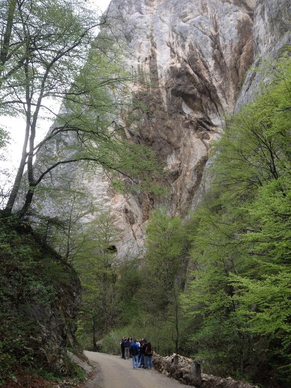 Rosenville Rîşnov Екстериор снимка